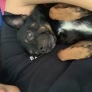 Meet your Posher, Linky